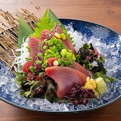 一本釣りカツオ刺身