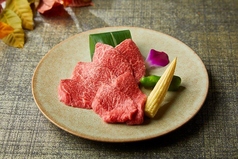 神戸ビーフ赤身 / 【KOBE BEEF】lean meat