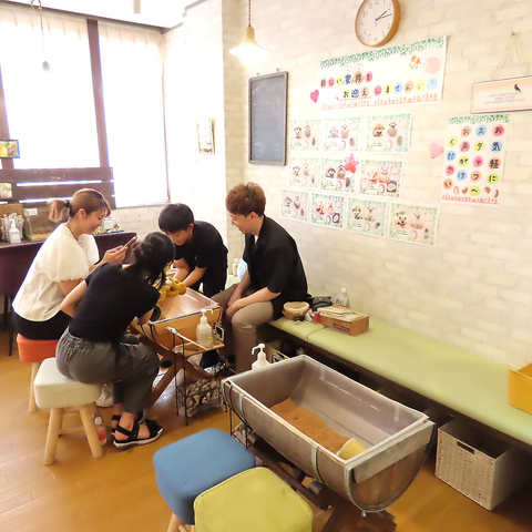 ハリネズミ専門カフェ HARRY WOOD ハリーウッド 名古屋栄店