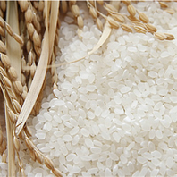 当店のお米は石川県産ひゃくまん穀を使用しております。