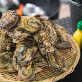 WOOD DESIGN PARK ウッドデザインパーク 野間の詳細