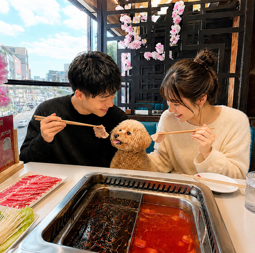 山城辣妹子重慶火鍋 上野店の雰囲気1