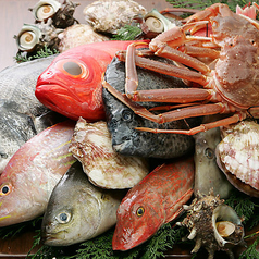 その日の新鮮鮮魚 単品