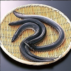 環境やエサから…うなぎの品質に徹底的いこだわります！