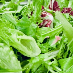 新鮮なサラダもあわせてどうぞ！