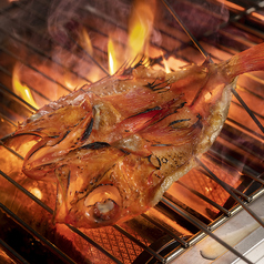 うにときんき　希寿の特集写真