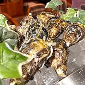 Oyster Bar ジャックポット 府中の詳細