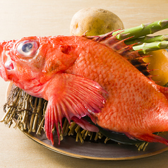 うにときんき　希寿の特集写真