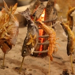 名物炉端原始焼き