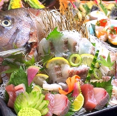 阿波恋しぐれ特集写真1