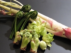 日本料理 つくしのコース写真