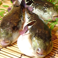 【忘新年会】　ふぐ祭り11/15～1/31まで