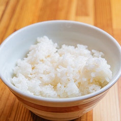 白ごはん 中/大