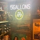 5GALLONSの画像