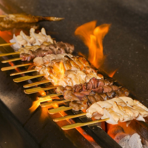 鳥どり 総本家 飯田橋店 飯田橋 居酒屋 ネット予約可 ホットペッパーグルメ