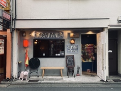 JACARANDA ジャカランダの写真