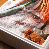 炉端と海鮮 個室居酒屋 三河魚町 刈谷本店のおすすめ料理2