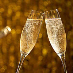 DRATERIA ドラテリアの特集写真