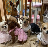 HOGOKEN PARK ホゴケンパーク 長居店