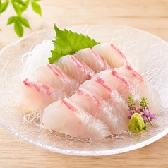 真鯛刺し