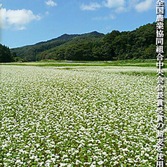 美蕎の十割蕎麦の美味しさは【3たて】への拘りが源泉。