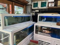 活きのいい海鮮をご提供♪