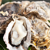 【豊前の恵み】濃厚な旨味に溺れる一粒社蠣をご堪能◎