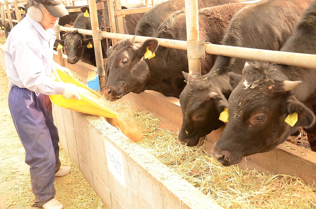 焼肉 精肉直売所 六花 長岡店の写真ギャラリー