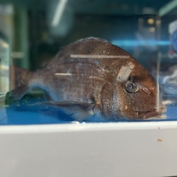 本場の味で虜になること間違いなし☆