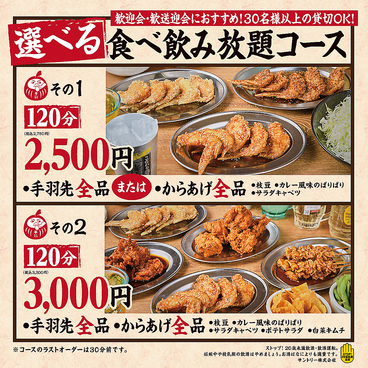  大衆酒場 手羽だるま旗の台店のおすすめ料理1