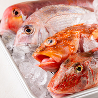 朝の魚市場から直送！