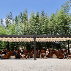 ウッドデザインパーク瀬戸のコース写真