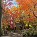 四季折々の景色