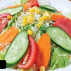 グリーンサラダ　S/L