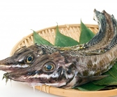 どさんこキッチン レトロなゴリラ 南3条店のおすすめ料理3