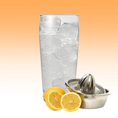 生レモンサワー（無糖）