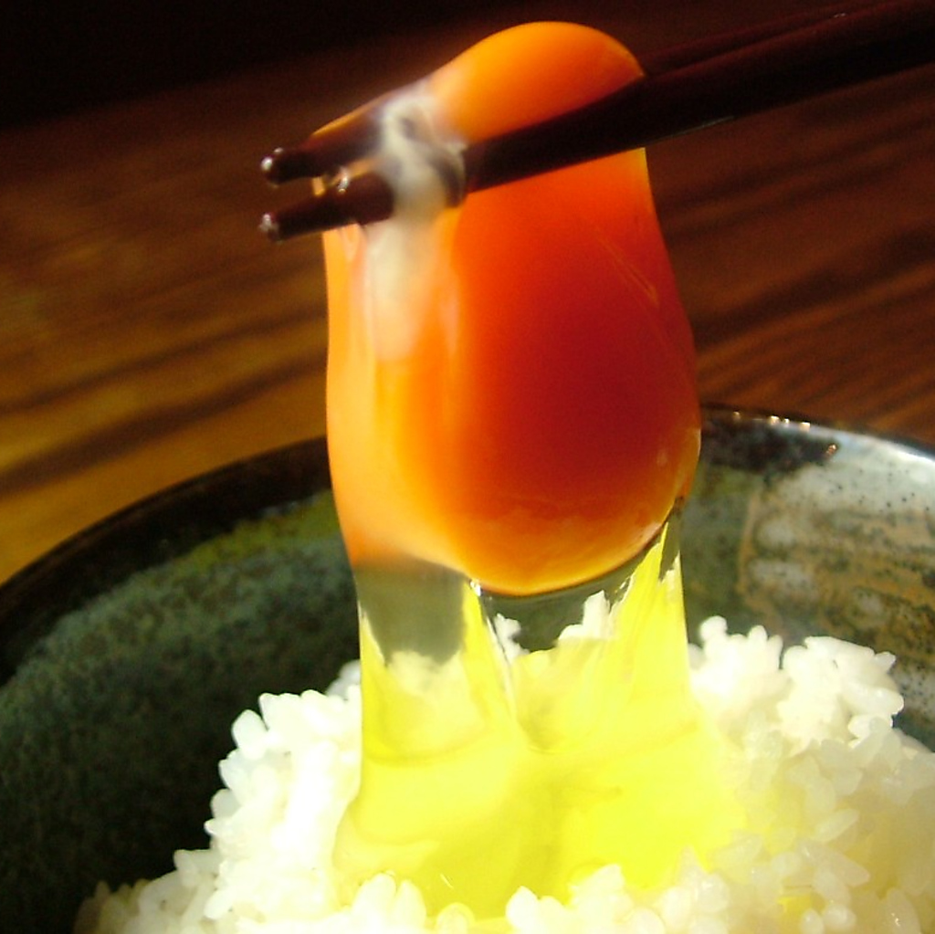〆に絶対食べたい逸品！箸で持ち上げられる程の新鮮な京地鶏の玉子を使用した、玉子かけごはん♪