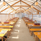 貝賊王の雰囲気2