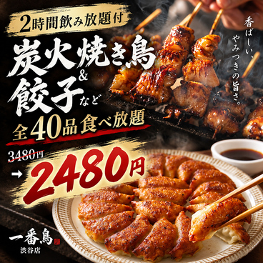 焼き鳥&野菜巻き食べ放題 一番鳥 渋谷駅前店のおすすめ料理1