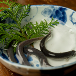 小川の魚の写真ギャラリー