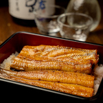 小川の魚の写真ギャラリー