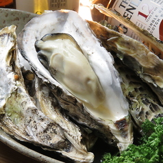 牡蠣と手羽先とワタシ かきんちゅのコース写真