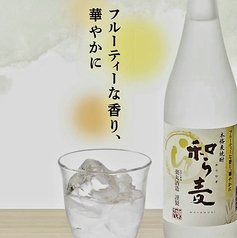 本格麦焼酎　和ら麦(90mlショット)
