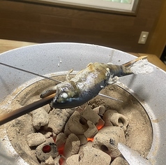 川魚塩焼き一本