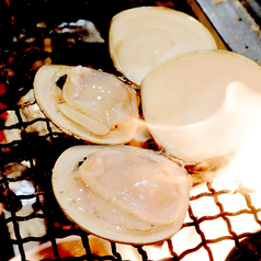 焼き大はまぐり　Grilled BIG Hard Clam