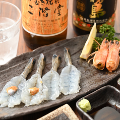 【豊洲直送!鮮度抜群の海鮮】