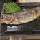 【にじますの串焼】　※日替わりお料理一例