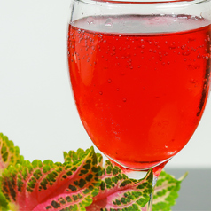 ビターオレンジ