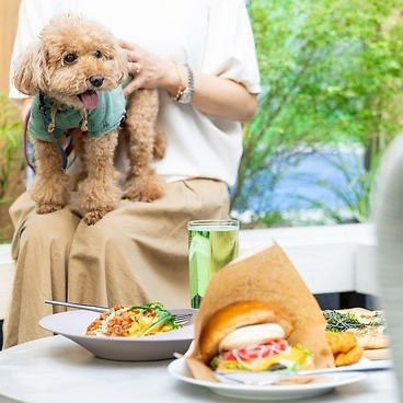 Himawari Kitchen ひまわりキッチンの雰囲気1