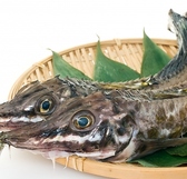 北海道まるごとダイニング うまいっしょ シンサツBLOCK店のおすすめ料理2